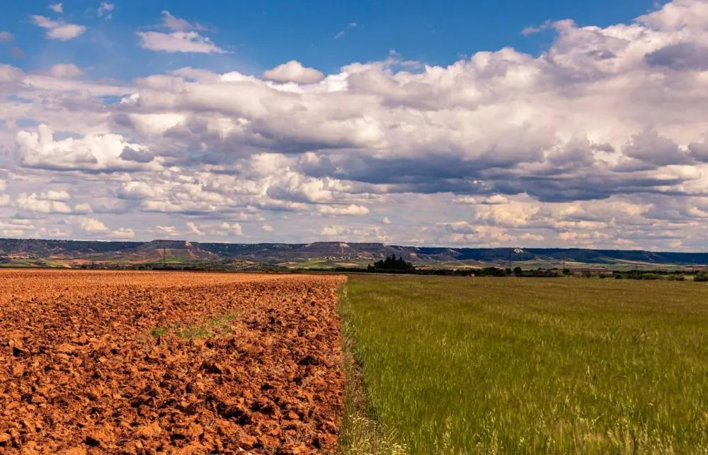 El Niño: plataforma reúne orientações para produtores rurais na safra 2026/2027