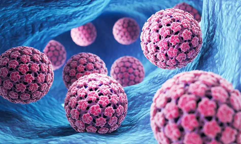 Como e por que o vírus HPV vira um câncer?
